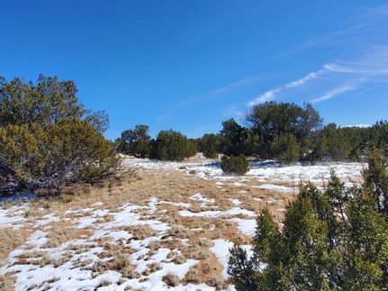 Undeveloped Land in Apache County, Arizona