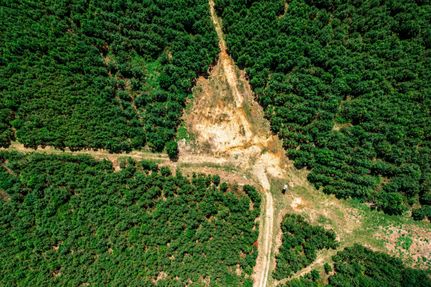 Land in Houston County, Georgia