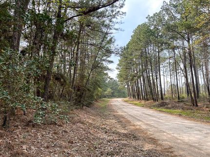 Recreational Property in San Jacinto County, Texas