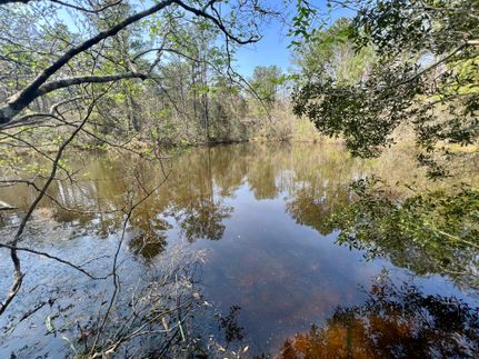 Farm and Ranch in Coffee County, Alabama