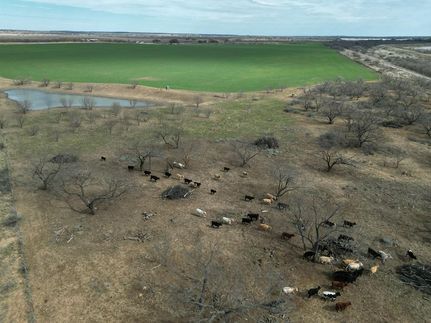 Timberland Property in McCulloch County, Texas