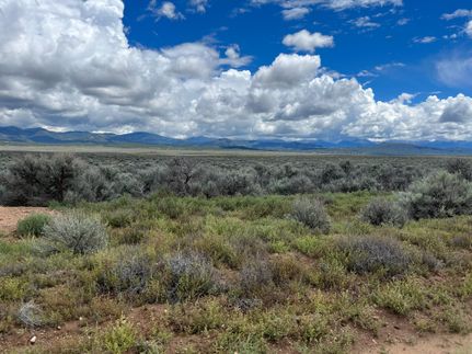 Timberland Property in Costilla County, Colorado