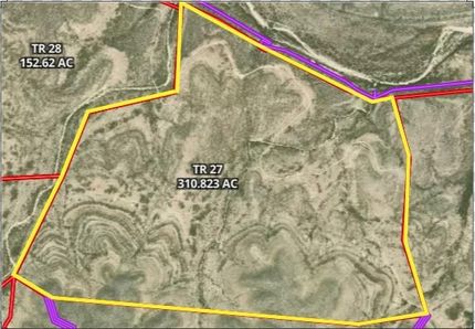 Undeveloped Land in Terrell County, Texas