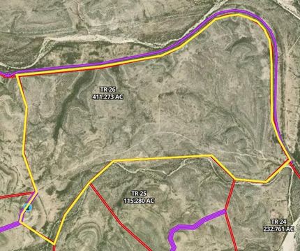 Undeveloped Land in Terrell County, Texas