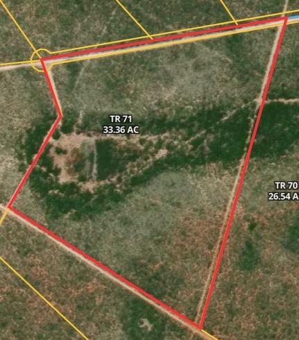 Undeveloped Land in Duval County, Texas