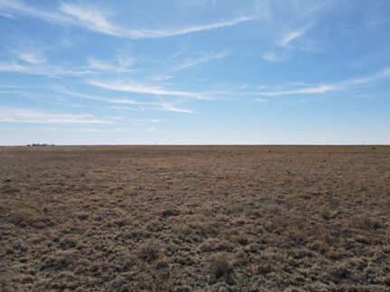 Farm and Ranch in Bailey County, Texas
