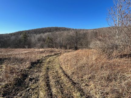 Farm and Ranch in Cattaraugus County, New York