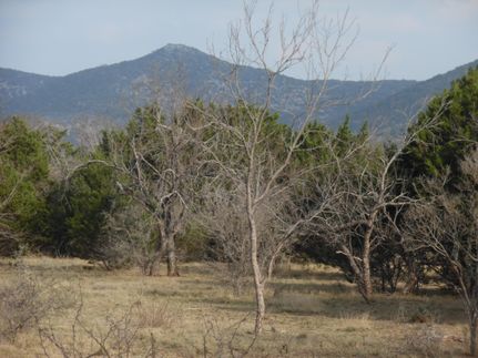 Undeveloped Land for sale in Edwards County, Texas