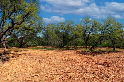 Recreational Property for sale in Blanco County, Texas