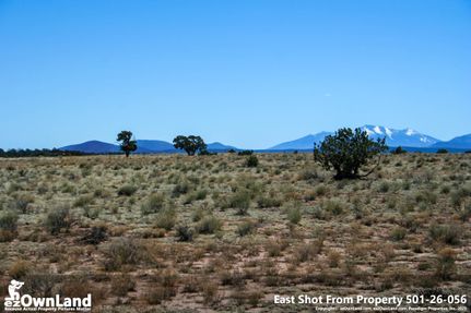 Farm and Ranch in Coconino County, Arizona