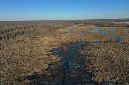 Recreational Property in Carlisle County, Kentucky
