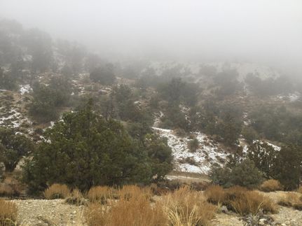 Undeveloped Land in Esmeralda County, Nevada