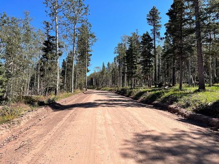 Timberland Property in Costilla County, Colorado
