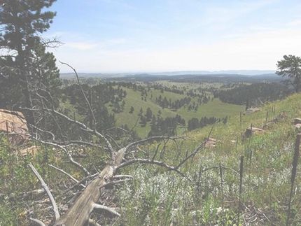 Land in Custer County, South Dakota
