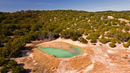 Hunting Property in Real County, Texas