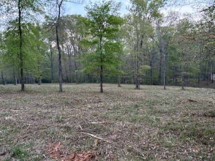 Undeveloped Land in Nacogdoches County, Texas