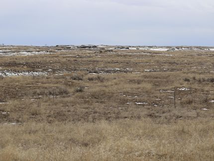 Undeveloped Land in Lincoln County, Washington