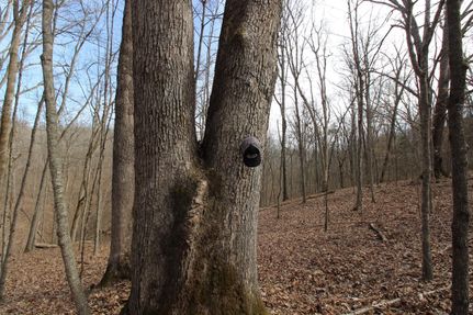 Farm and Ranch in Adams County, Ohio