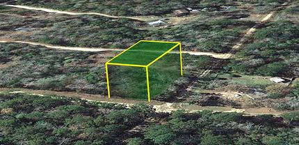 Undeveloped Land in Tyler County, Texas