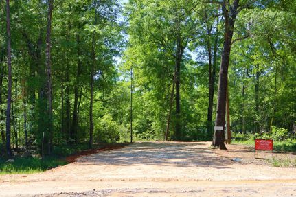 Undeveloped Land in Polk County, Texas
