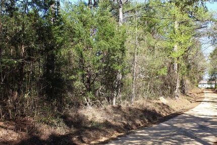 Undeveloped Land in Macon County, Alabama