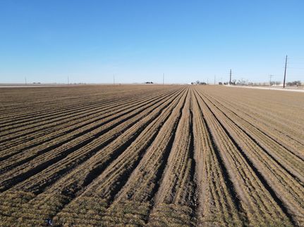 Undeveloped Land in Scott County, Kansas