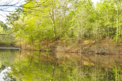 Undeveloped Land in Tyler County, Texas