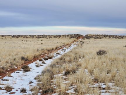 Farm and Ranch in Apache County, Arizona
