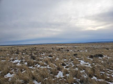 Undeveloped Land in Apache County, Arizona