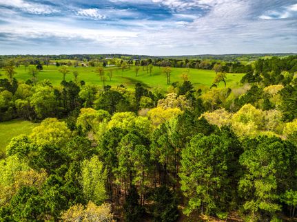Timberland Property in Rusk County, Texas