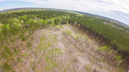 Horse Property in Polk County, Texas