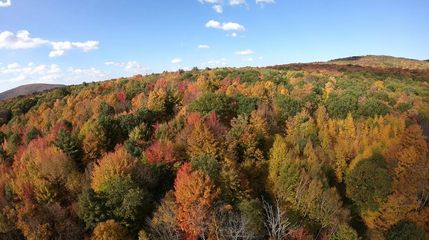 Undeveloped Land in Delaware County, New York