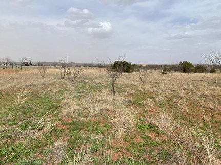 Undeveloped Land in Taylor County, Texas