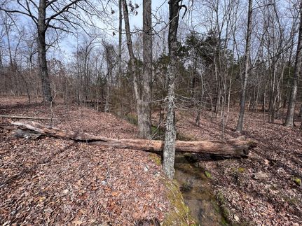 Undeveloped Land in Howell County, Missouri