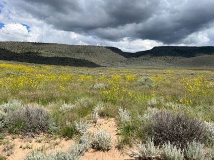 Undeveloped Land in Costilla County, Colorado