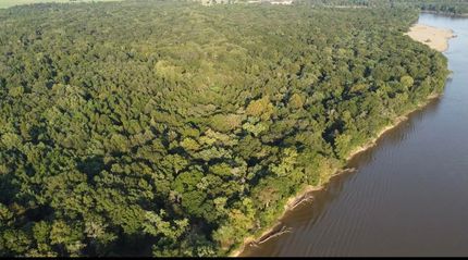 Hunting Property in Toombs County, Georgia