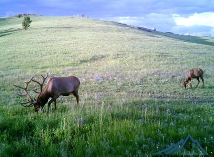Hunting Property in Broadwater County, Montana