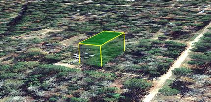 Undeveloped Land in Tyler County, Texas