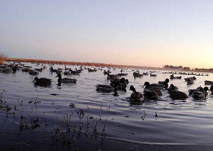 Undeveloped Land in Lyon County, Kansas