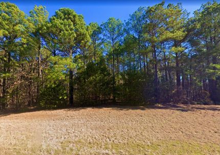 Undeveloped Land in Marion County, Texas
