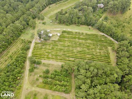 Farm and Ranch in Brunswick County, North Carolina