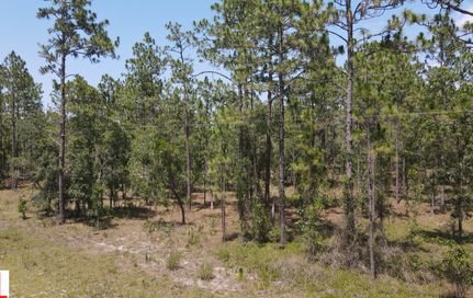 Land in Levy County, Florida