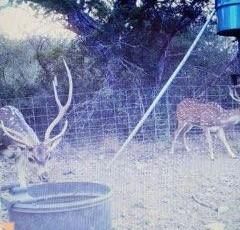Timberland Property in Edwards County, Texas