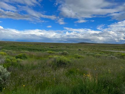 Undeveloped Land in Costilla County, Colorado