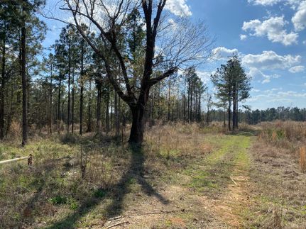 Timberland Property in Wilkinson County, Georgia