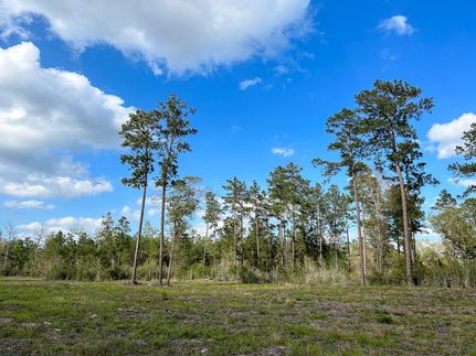 Recreational Property in Angelina County, Texas