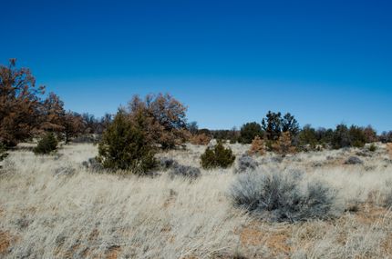 Commercial Property in Cibola County, New Mexico