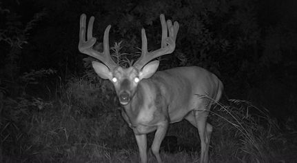 Land in Harrison County, Missouri