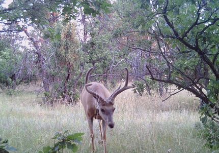 Recreational Property in Crook County, Wyoming