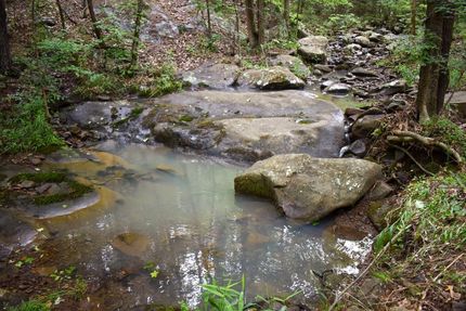 Hunting Property in Yell County, Arkansas